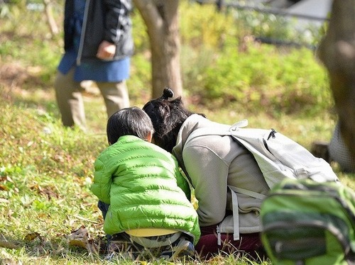 今週なにする？緑区で開催！【今週】のイベント情報まとめ！！2/28～3/7＜横浜市緑区エリア＞