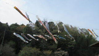 2026年04月02日（木）～ 05月19日（火）｜こいのぼり・五月飾り展示