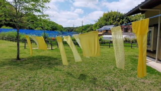 2026年04月16日（木）｜カモミール染め