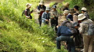 2025年07月02日（水）｜旬の里山探訪　７月　なんちゃってハイ句