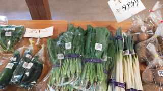 2025年11月29日(土）｜塩麹作りに挑戦＆にいはる野菜を塩麹で食べよう